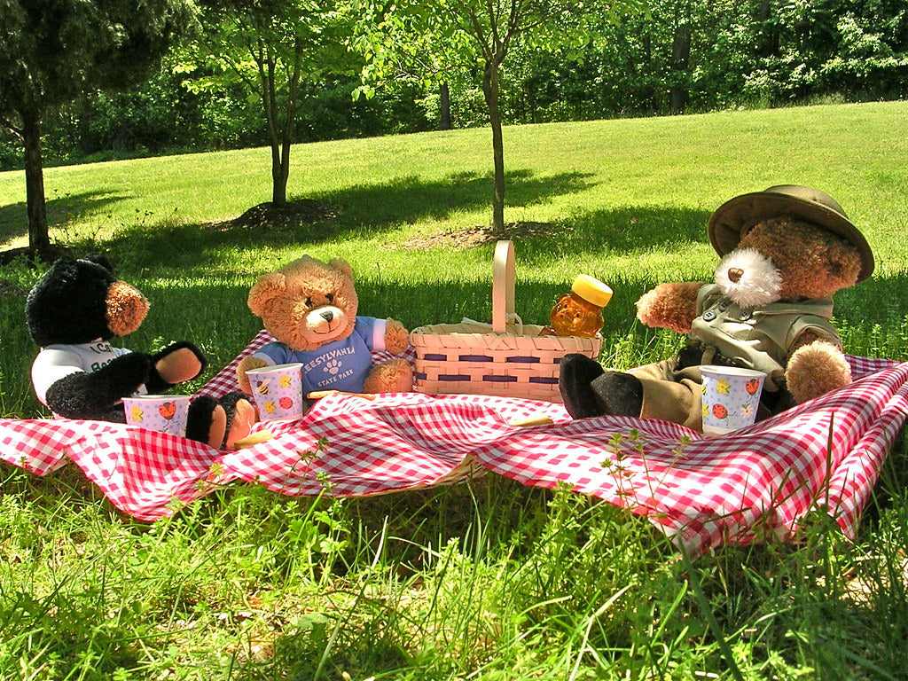 🧺 10 Smart Tips for a Bug-Free Picnic with TickWise This July