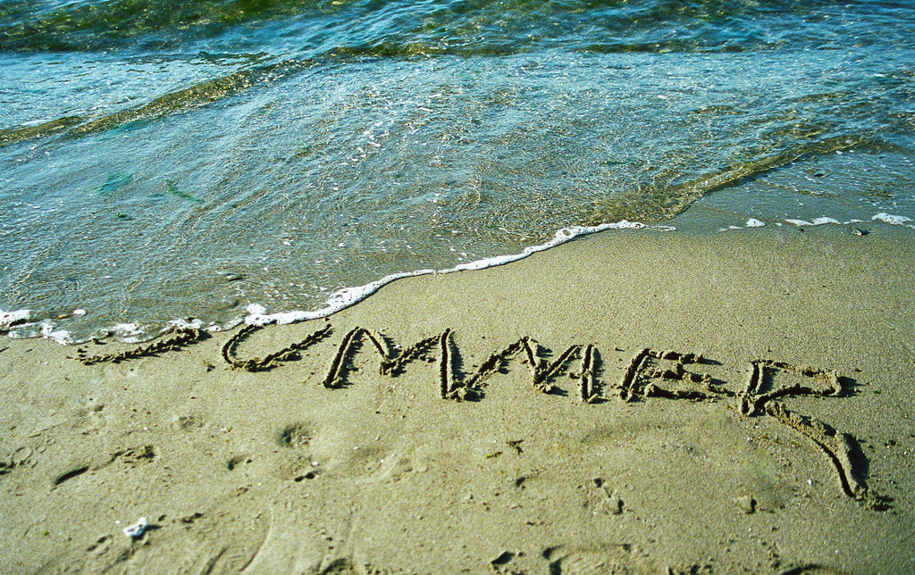 🧭 10 Summer Adventures You Still Have Time For—Just Don’t Forget TickWise