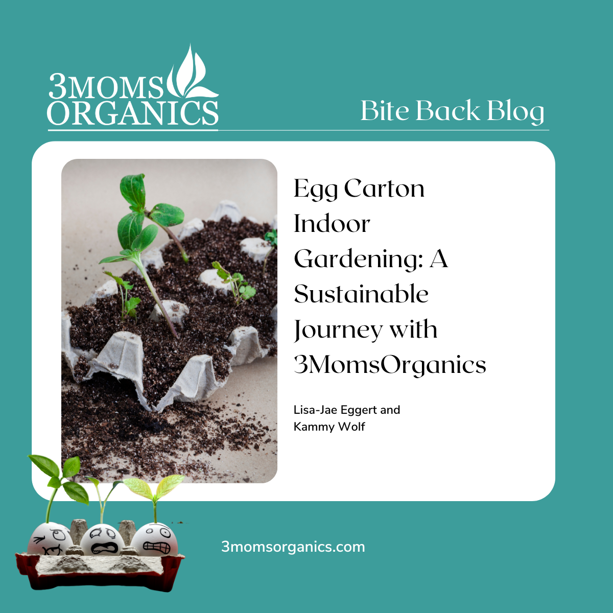 Egg Carton Indoor Gardening: A Sustainable Journey with 3MomsOrganics