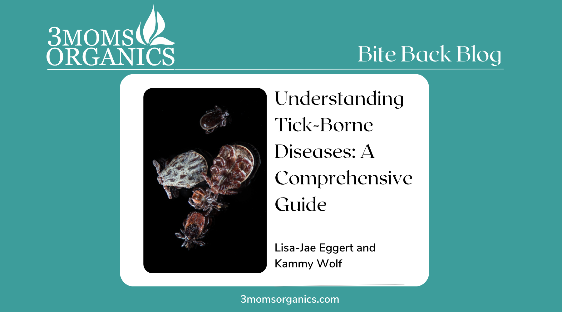 Understanding Tick-Borne Diseases: A Comprehensive Guide