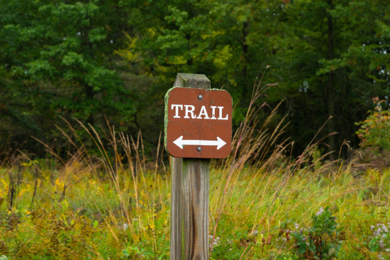 10 Smart Hiking Tips to Keep Bugs Off Naturally