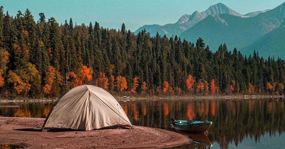 🏕️ How TickWise Makes Your September Camping Trips More Comfortable