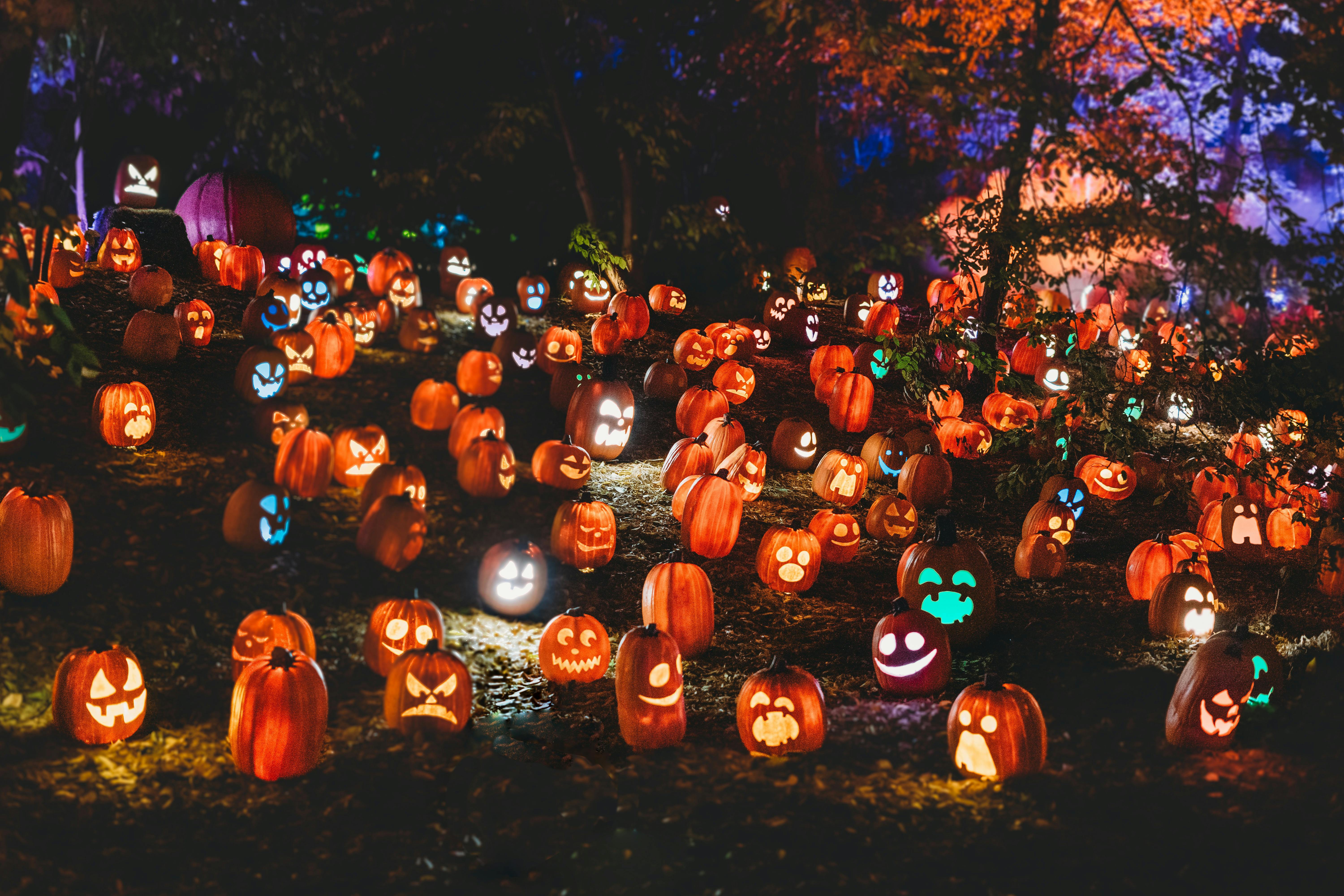 🎃 How TickWise Keeps Fall Festivals Fun and Comfortable